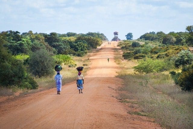 Two women walking along a dirt road, with a large tree standing prominently in the background.